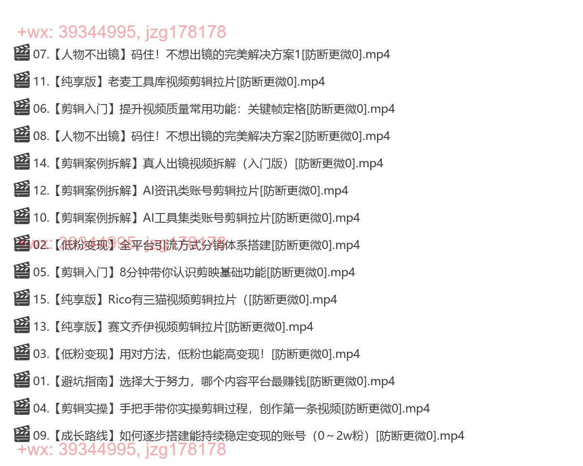 10.Ai全流程自媒体变现实战课 screenshot