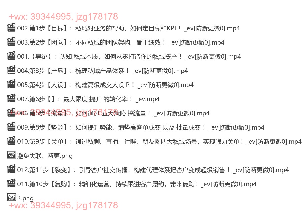初阶：私域资产【落地11步方法论】 screenshot