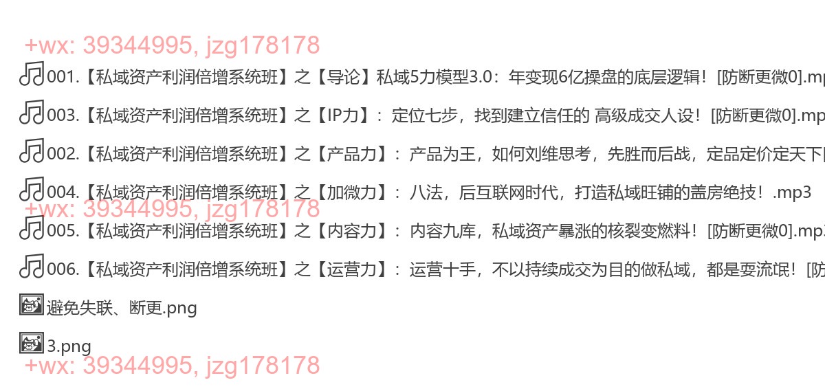 肖厂长特别大课：【私域资产利润倍增系统班】 screenshot