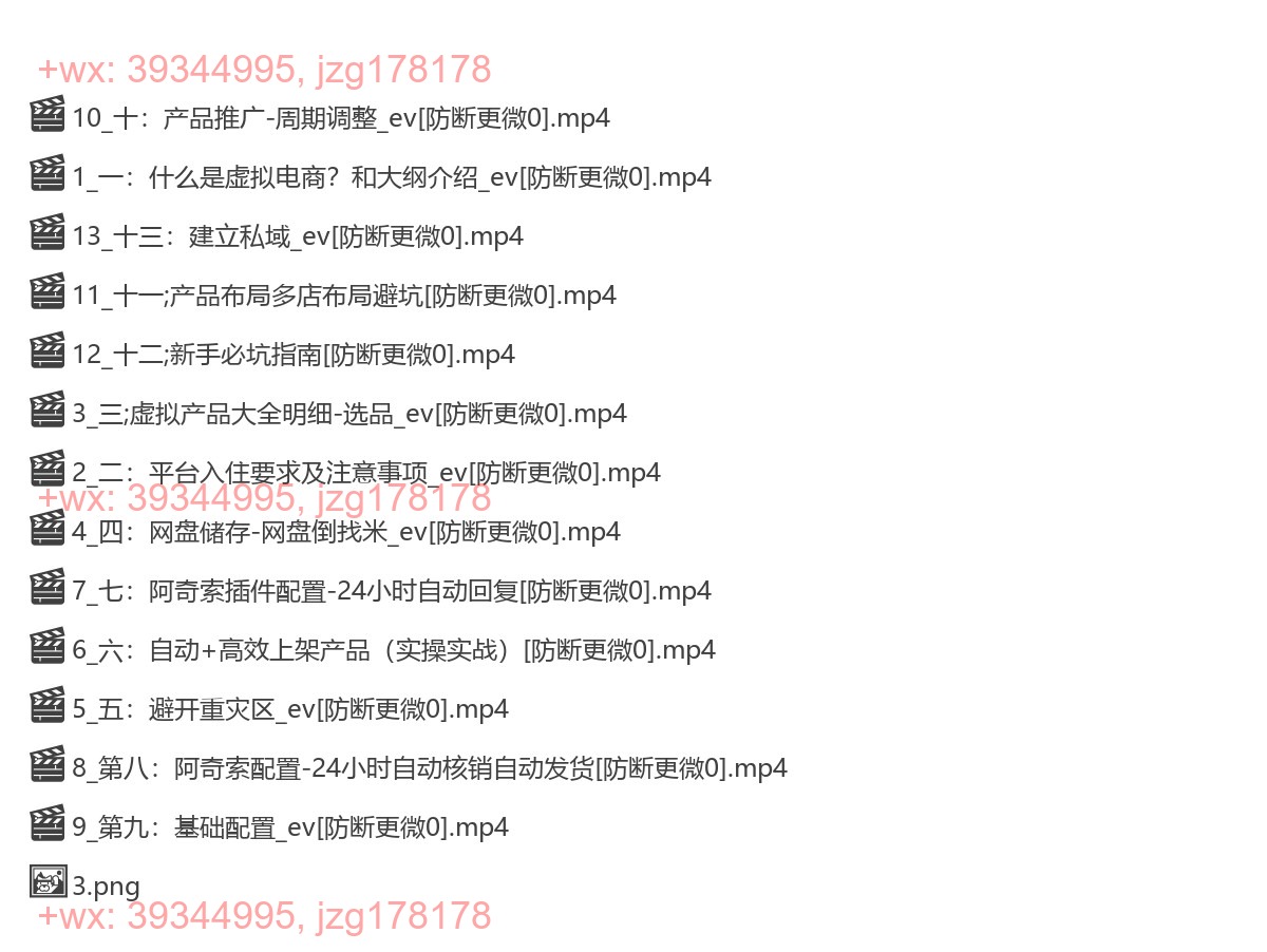 05.拼多多全域虚拟电商从零到1实操课 screenshot