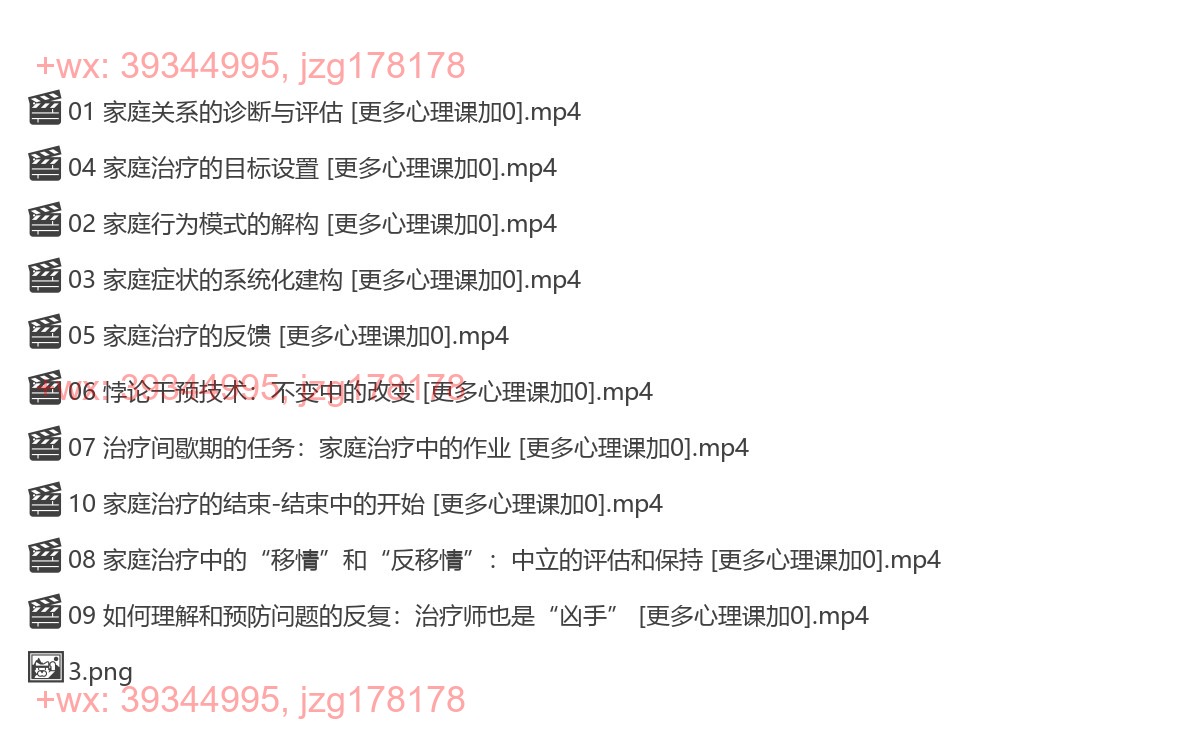 333.【完结】【高级实践】陈发展 家庭治疗理论、技术和实践线上培训 screenshot