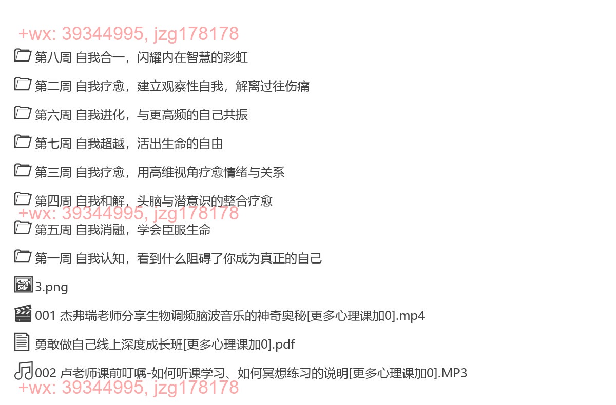 310.【完结】卢熠翎 8周自我”重生之旅 绽放你生命的无限可能勇敢做自己深度成长班 screenshot
