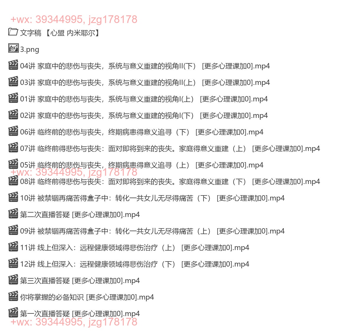 314.【完结】【心盟 内米耶尔】面对临终或丧亲，个体与家庭的疗愈和意义重建之旅 screenshot