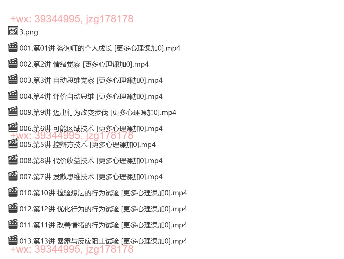 08、【完结】郭召良 CBT 个人成长班 screenshot