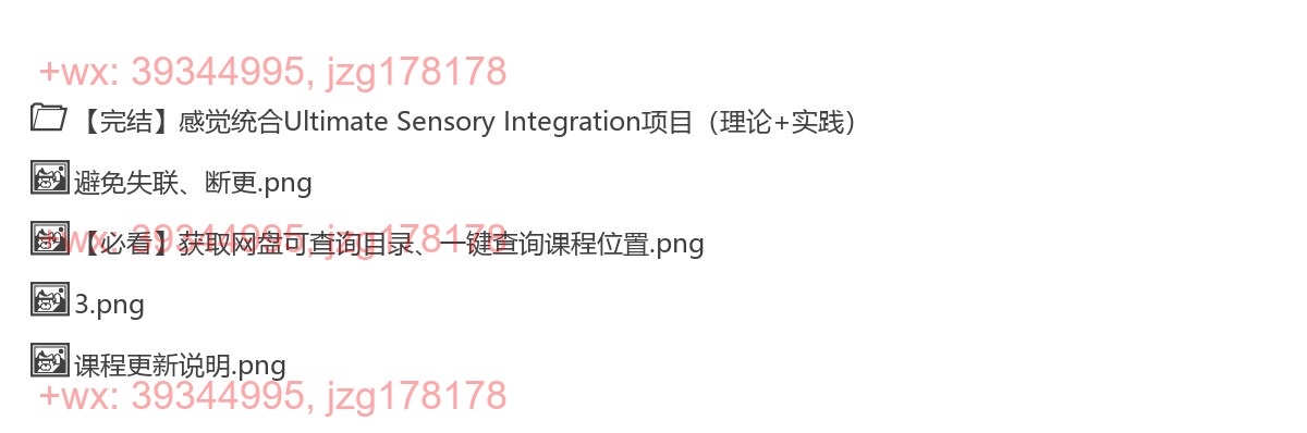 299.【完结】感觉统合Ultimate Sensory Integration项目（理论+实践） screenshot