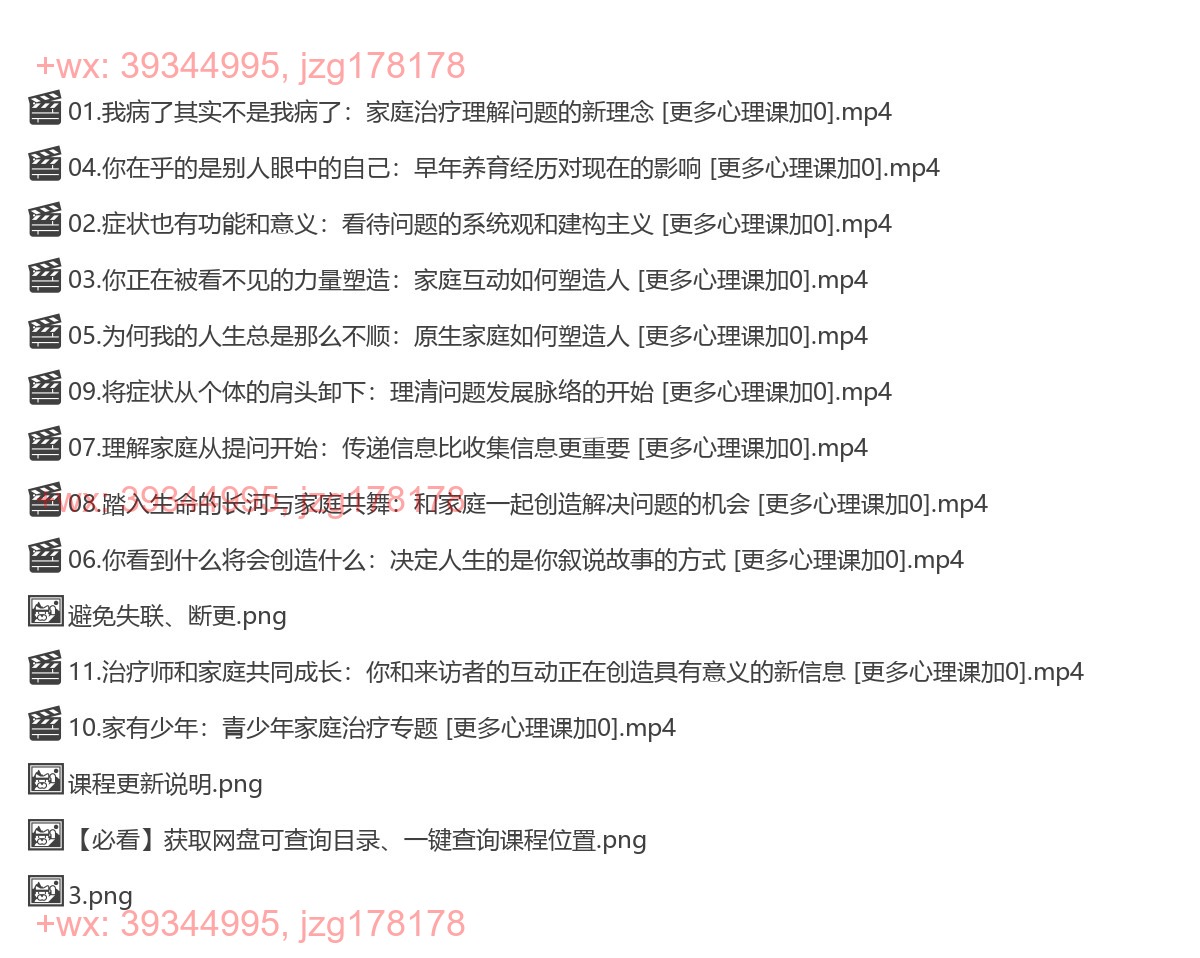 295.【完结】【初级理论】陈发展 家庭治疗理论与技术培训课程 screenshot