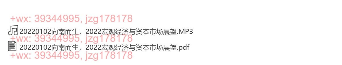 20220102向南而生，2022宏观经济与资本市场展望 screenshot