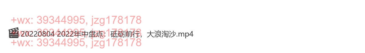 20220804 2022年中盘点：砥砺前行，大浪淘沙 screenshot
