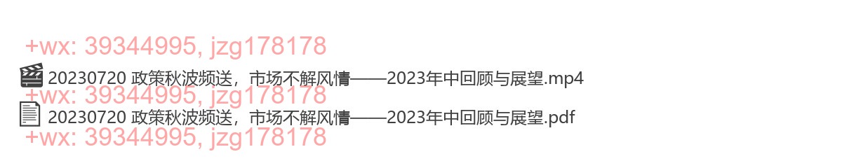 20230720 政策秋波频送，市场不解风情——2023年中回顾与展望 screenshot