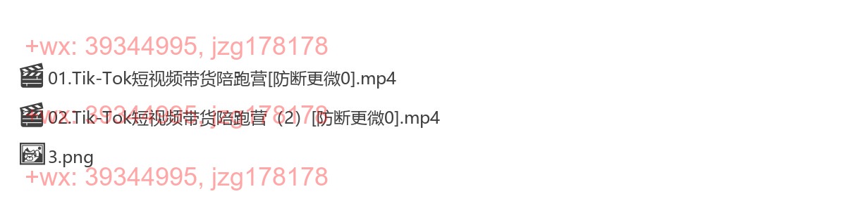 1020.TikTok短视频带货陪跑营 screenshot