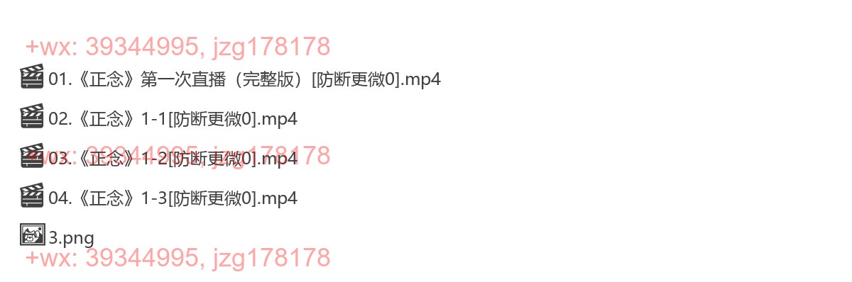 1024.夏鹏亲授《正念：此刻是一枝花》精读课 screenshot
