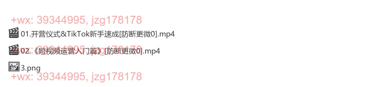 1074.TikTok Shop 全球店带货训练营（第14期） screenshot