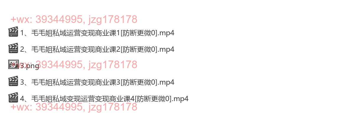 1090.毛毛姐22年7月 私域运营变现商业课4节9980 screenshot