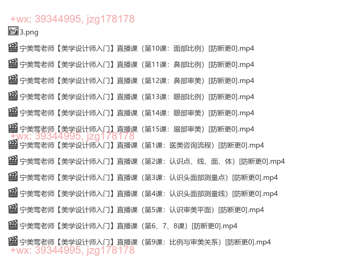 1242.【宁美莺老师】脸部美学设计师入门课（完结） screenshot