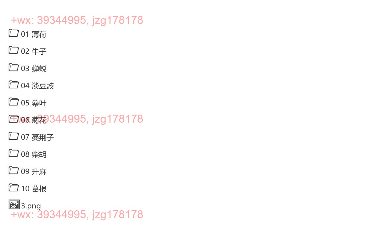 解表药 第二章 辛温解表药 screenshot