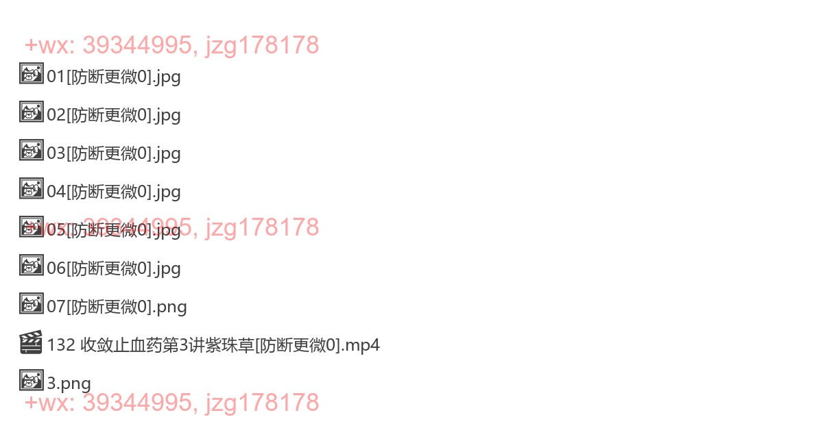 132 收敛止血药第3讲紫珠草 screenshot