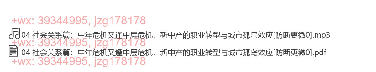 04 社会关系篇：中年危机又逢中层危机，新中产的职业转型与城市孤岛效应 screenshot