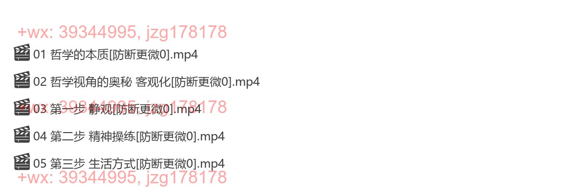 25 哲学的凝视 screenshot