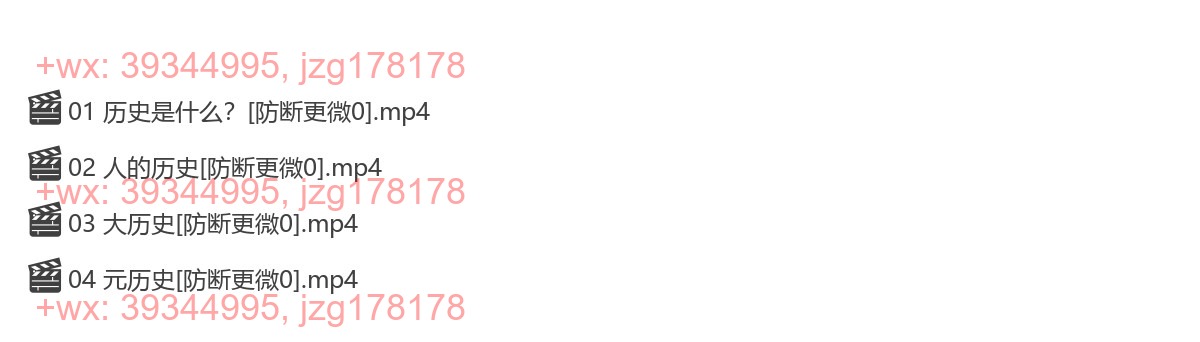 26 历史的凝视 screenshot