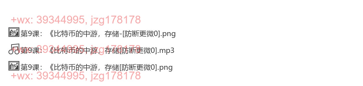 第09课：《比特币的中游，存储 screenshot