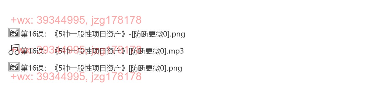 第16课：《5种一般性项目资产》 screenshot