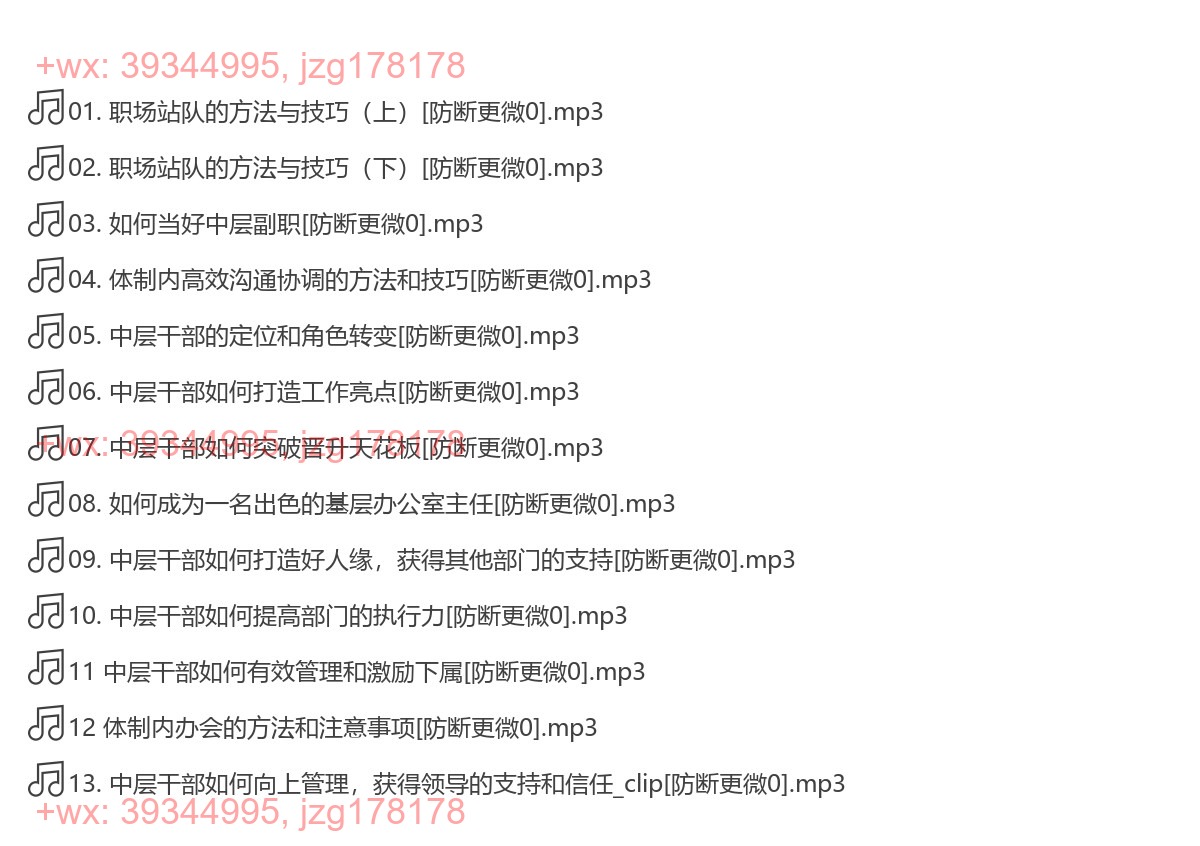 体制内如何当好中层干部（完结） screenshot