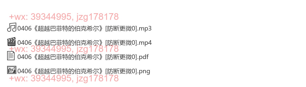 0406《超越巴菲特的伯克希尔》 screenshot