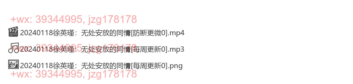 0118《徐英瑾：无处安放的同情》 screenshot
