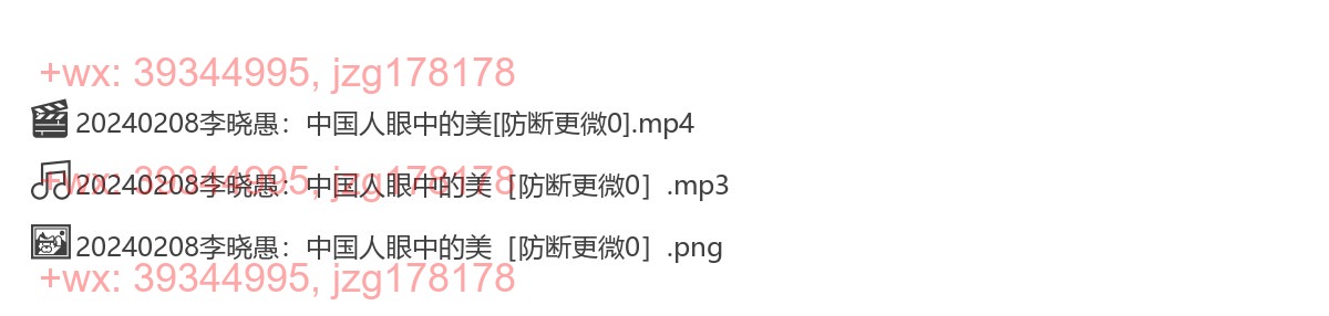 0208《李晓愚：中国人眼中的美》 screenshot
