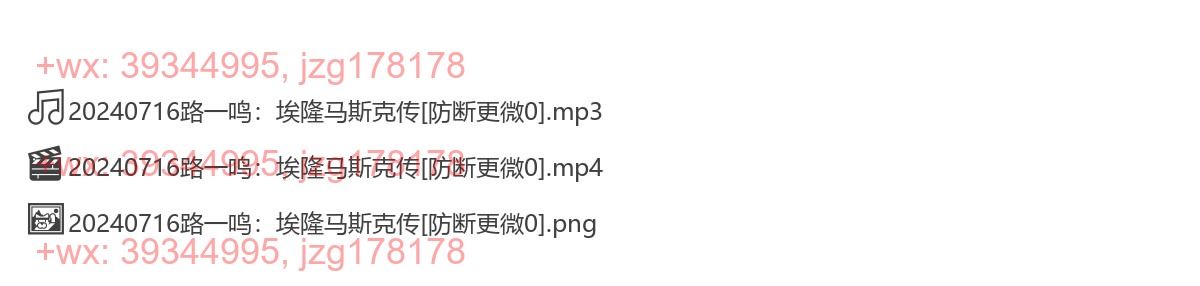0716《路一鸣：埃隆马斯克传》 screenshot