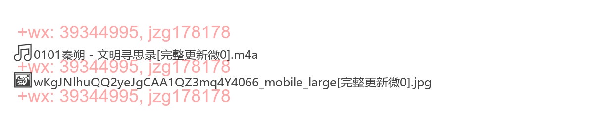 0101秦朔 - 文明寻思录 screenshot