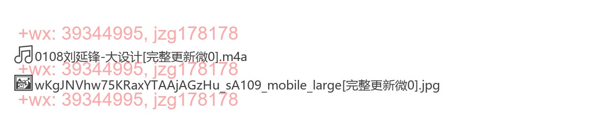 0108刘延锋-大设计 screenshot