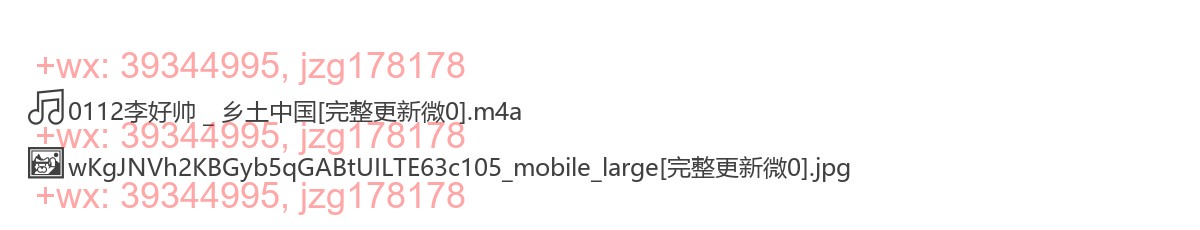 0112李好帅 _ 乡土中国 screenshot