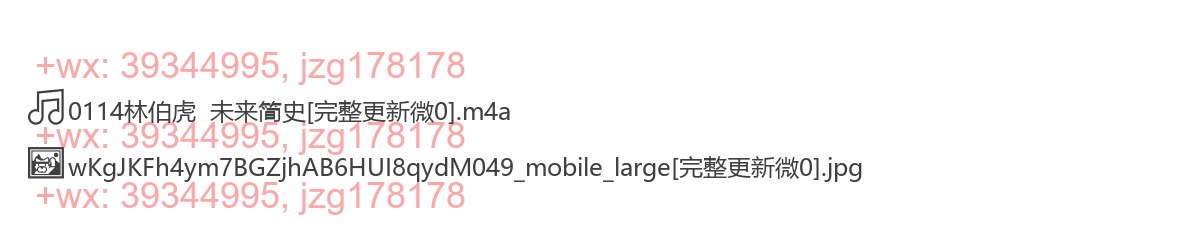0114林伯虎  未来简史 screenshot