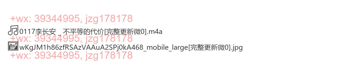 0117李长安 _ 不平等的代价 screenshot