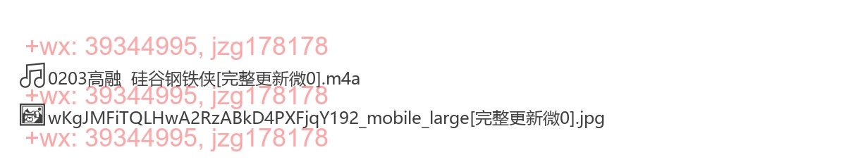 0203高融  硅谷钢铁侠 screenshot