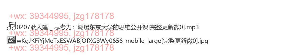 0207耿人建 _ 思考力：潮爆东京大学的思维公开课 screenshot