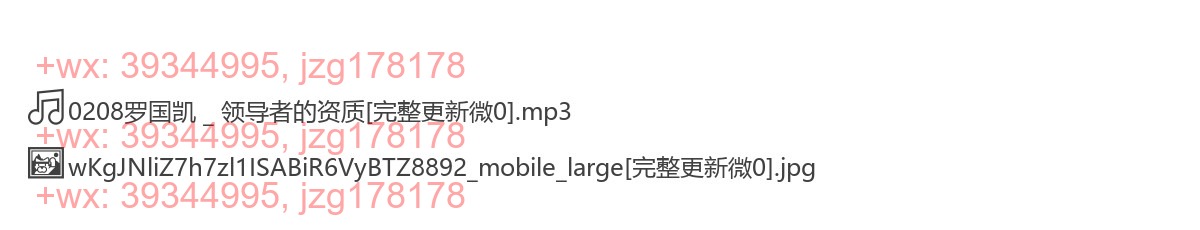 0208罗国凯 _ 领导者的资质 screenshot