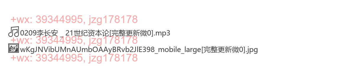 0209李长安 _ 21世纪资本论 screenshot