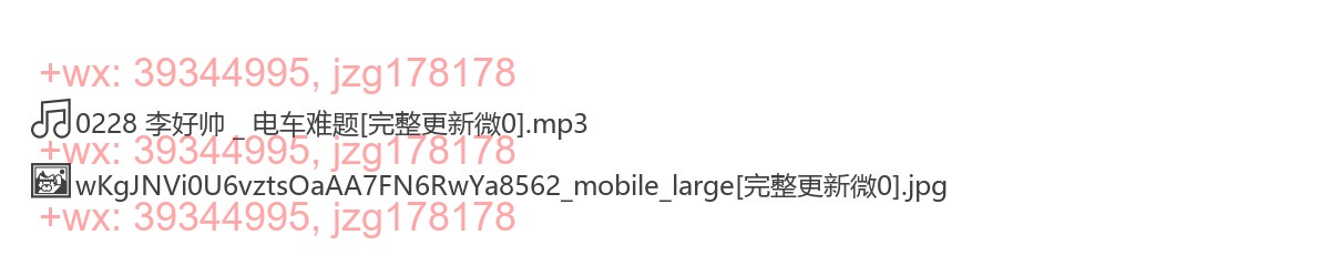 0228 李好帅 _ 电车难题 screenshot