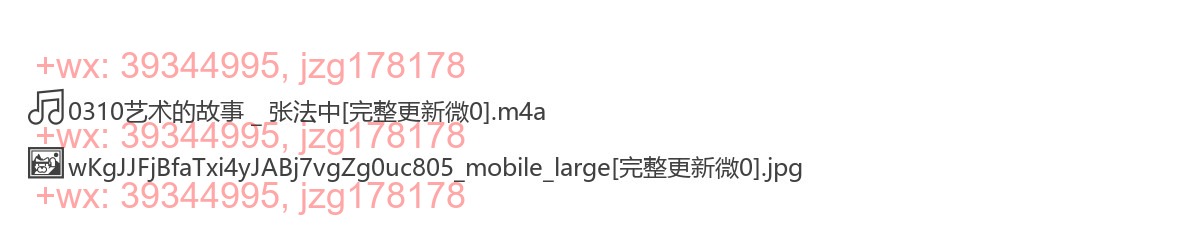 0310艺术的故事 _ 张法中 screenshot