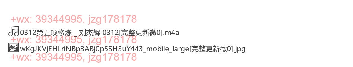 0312第五项修炼 _ 刘杰辉 0312 screenshot