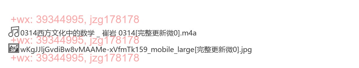 0314西方文化中的数学 _ 崔岩 0314 screenshot