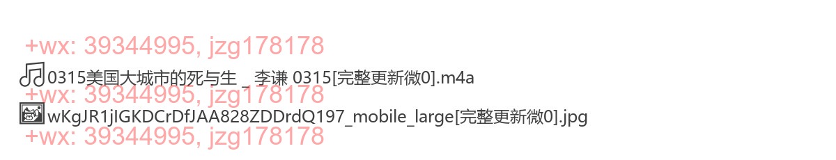 0315美国大城市的死与生 _ 李谦 0315 screenshot