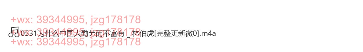 0531为什么中国人勤劳而不富有 _ 林伯虎 screenshot