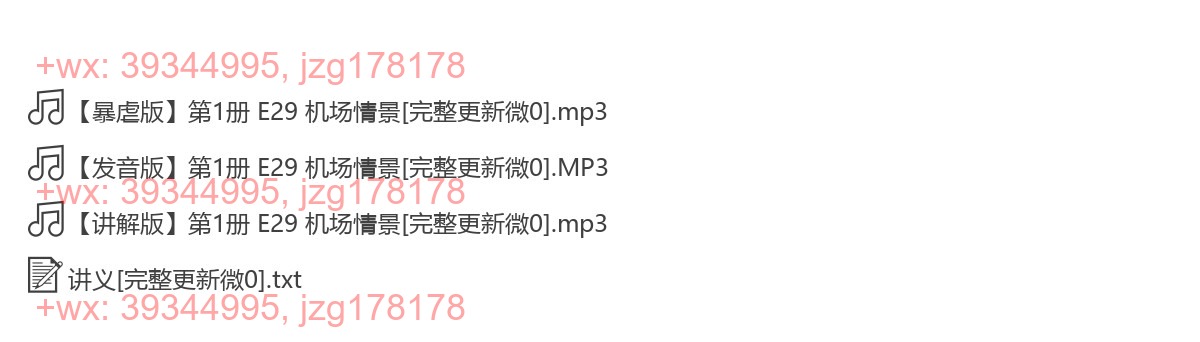 E29 机场情景 screenshot