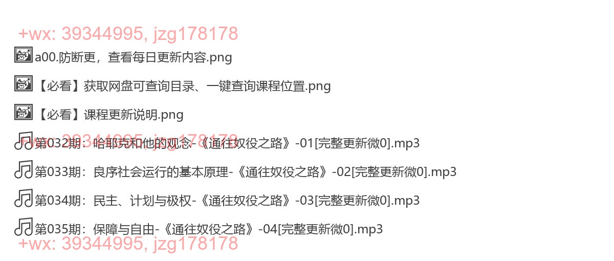 《通往奴役之路》 screenshot