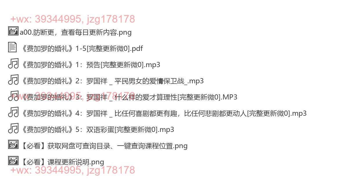 28《费加罗的婚礼 screenshot
