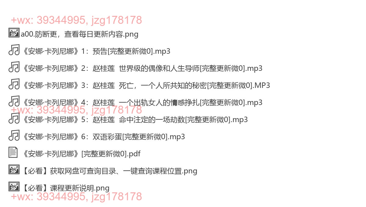 63 《安娜·卡列尼娜》 screenshot