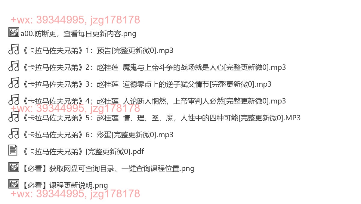 65 《卡拉马佐夫兄弟》 screenshot
